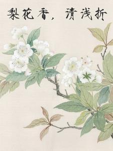 梨花淡白柳深青翻译