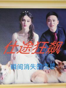 仕途狂飙让我进步?可我进部了!