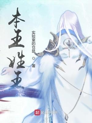 本王姓王介绍