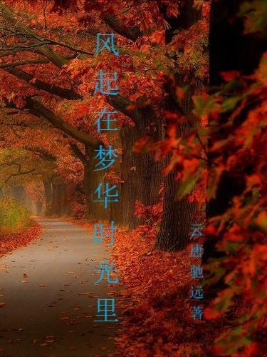 风在起时歌词什么意思