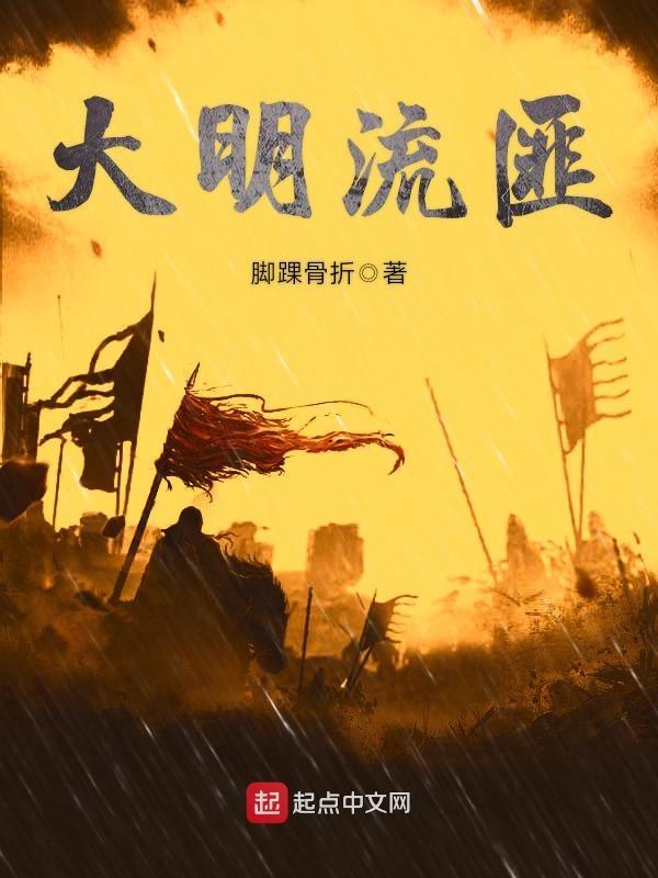 大明流匪百科